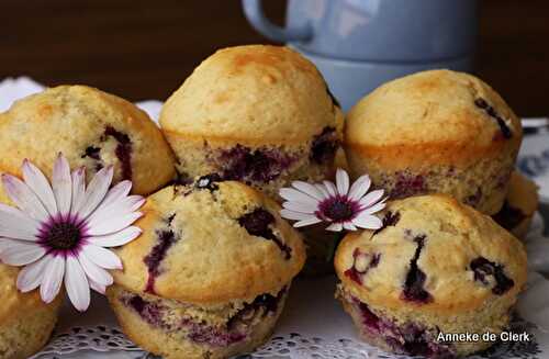 Blue Eyed Blueberry Muffins -