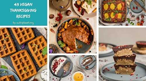 43 Vegan Thanksgiving Recipes [Gluten-Free]