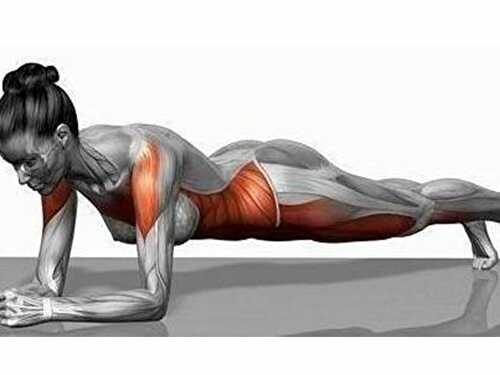 Plank Exercise