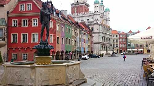 Plant-Based Travelling: Kaunas, Poznan, Nürnberg, Zürich, and Orange