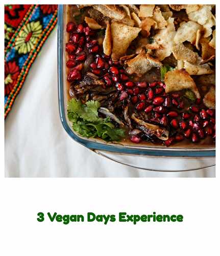 My Experience after Vegan Diet for 3 Days - :: Nutrizonia ::