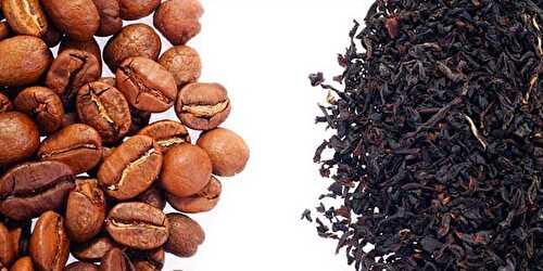 "Which is healthier" Tea or coffee - :: Nutrizonia ::