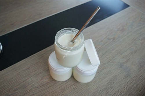 Yogurt with the thermomix, made in 10 minutes.