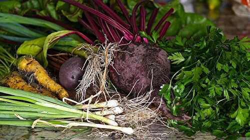 12 Healthy Root Vegetables that Should Not be Ignored