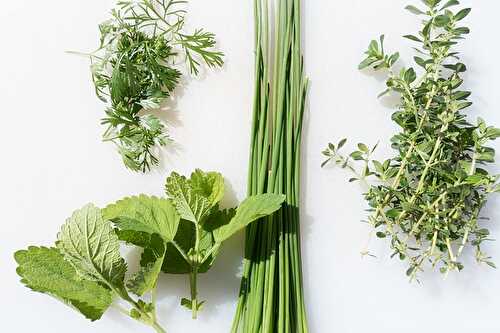 3 Steps To Keep Your Herbs Fresh