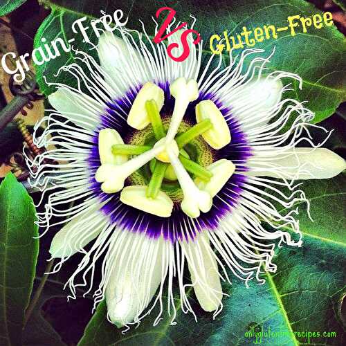 Grain-Free VS Gluten-Free