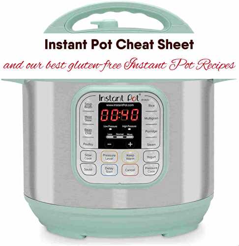Instant Pot Cheat Sheet and Our Best Recipes