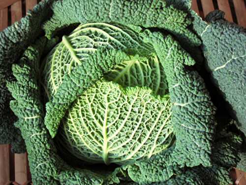 Simple Ways to Add Leafy Greens to Everyday Meals