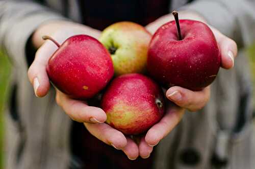 21 Gluten-Free Apple Recipes for Beginners