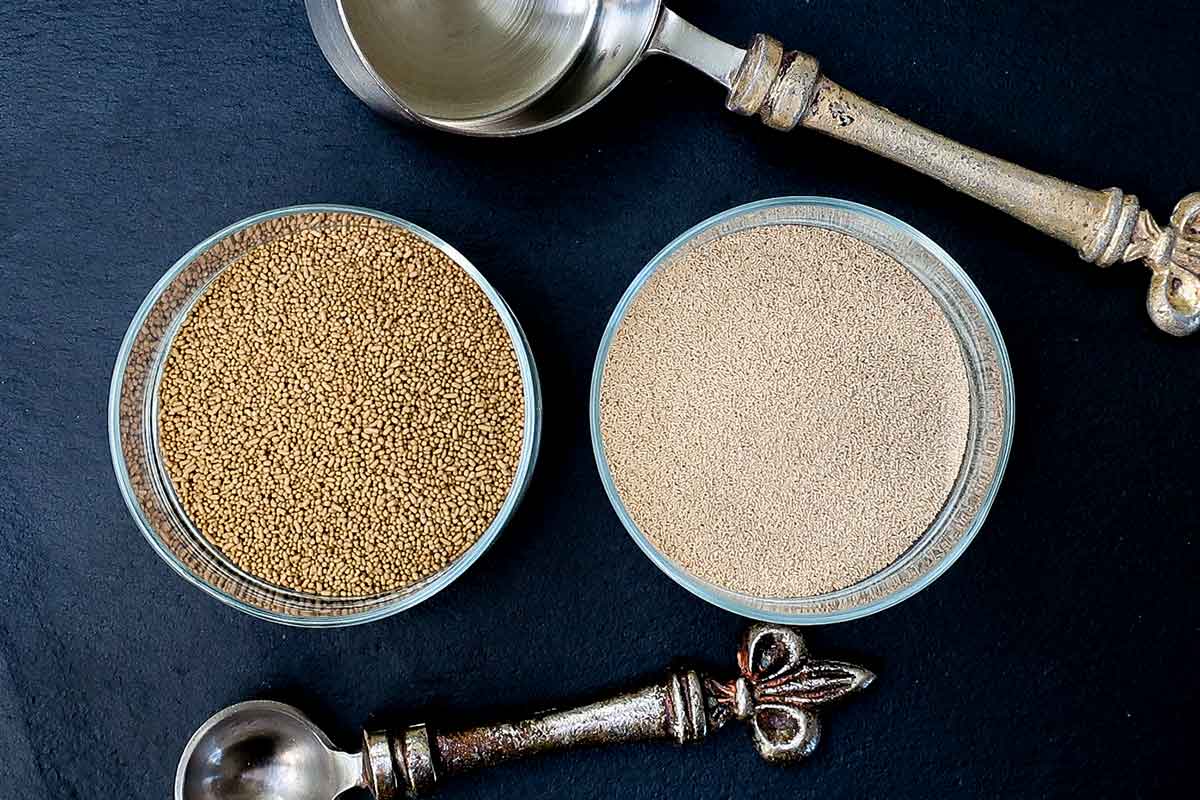 Active Dry Yeast vs Instant in Gluten Free Baking