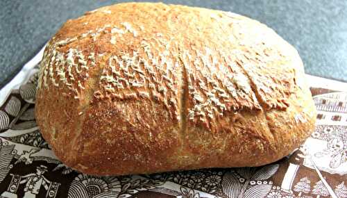 Sauerteig-Mischbrot fuer den Ofen oder den Topf – Mixed Flour Sourdough Bread for the Oven or the Pot – Pane Bistecca