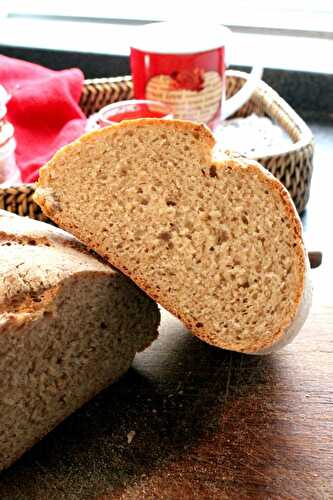 Schweizer Ruchbrot – Swiss Brown Bread – Pane Bistecca