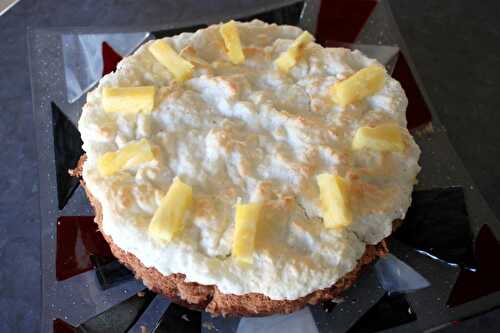 Kokos-Ananas Kuchen – Koch mein Rezept – Coconut Pineapple Cake