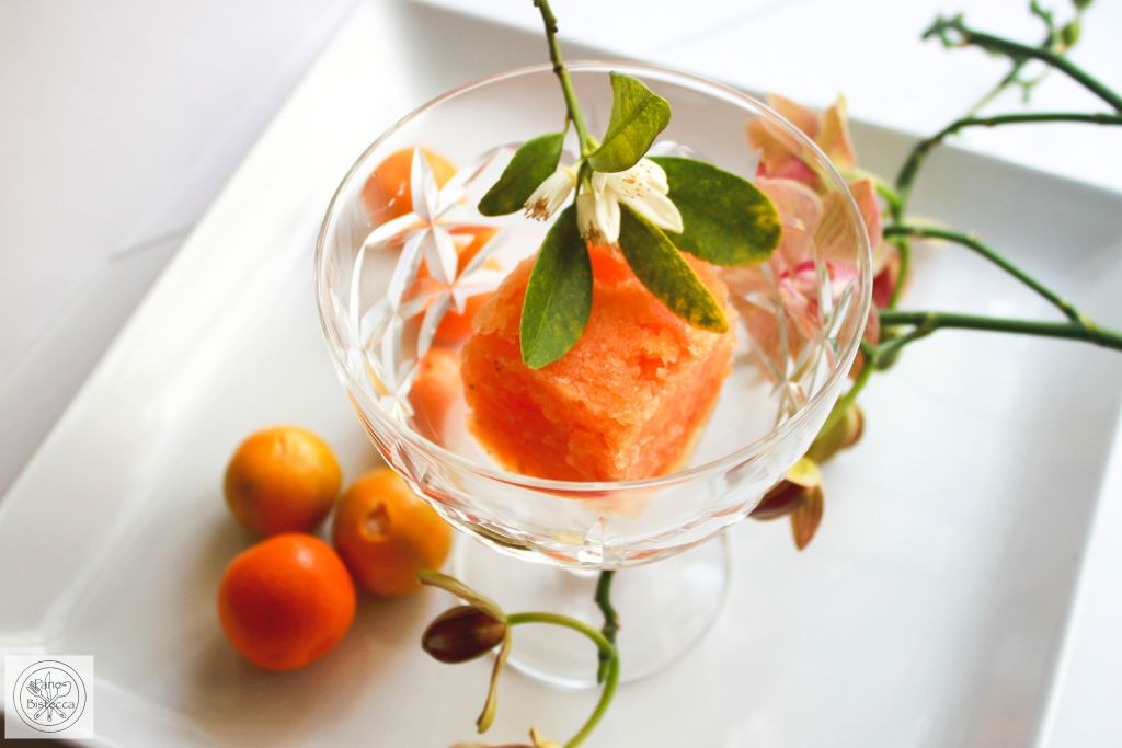 Kumquat Sorbet – Die Eiszeit beginnt!