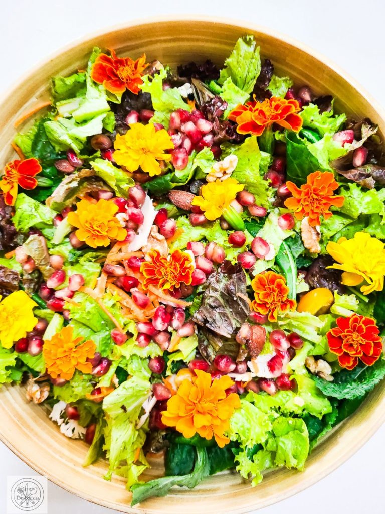 Blumig-bunter Winter Salat – Flowery and colorful Winter Salad