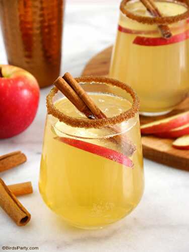 Party Ideas | Party Printables Blog: Apple and Cinnamon Punch Cocktail 