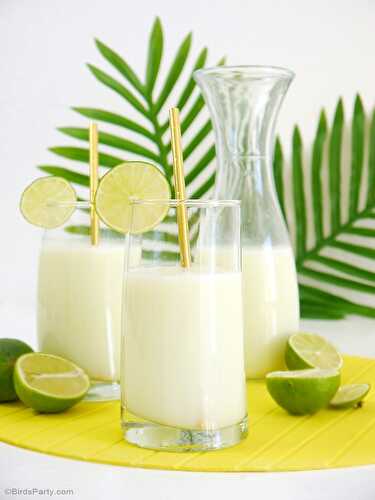 Party Ideas | Party Printables Blog: Brazilian Lemonade Limeade Recipe