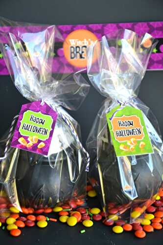 Party Ideas | Party Printables Blog: DIY Witch's Cauldron Halloween Party Favors