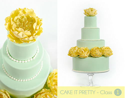 Party Ideas | Party Printables Blog: Free DIY Cake Decorating Blog Course
