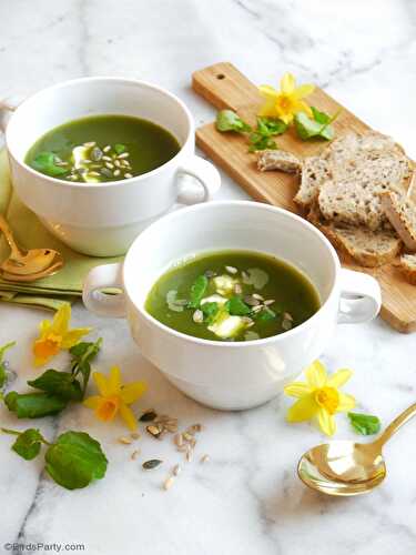 Party Ideas | Party Printables Blog: Gluten-Free Vegan Watercress Spring Soup