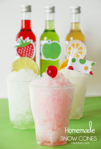 Party Ideas | Party Printables Blog: Homemade Snow Cone Recipe with Free Printables