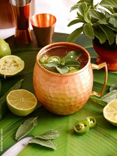 Party Ideas | Party Printables Blog: Mexican Mule Cocktail Recipe