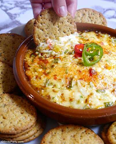 Party Ideas | Party Printables Blog: Party Food | Spiced Mexican Cheese & Onion Dip