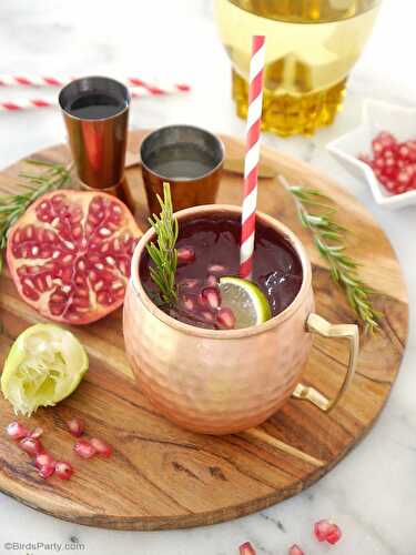 Party Ideas | Party Printables Blog: Party Recipe - Pomegranate Moscow Mule Cocktail 