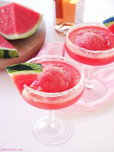 Party Ideas | Party Printables Blog: Watermelon & Rosé Granita Cocktail
