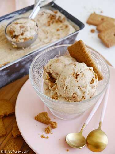 No-Churn 3-Ingredients Biscoff Cookie Ice Cream