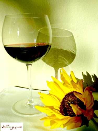 Practical Wine Pairings with Indian Cuisine