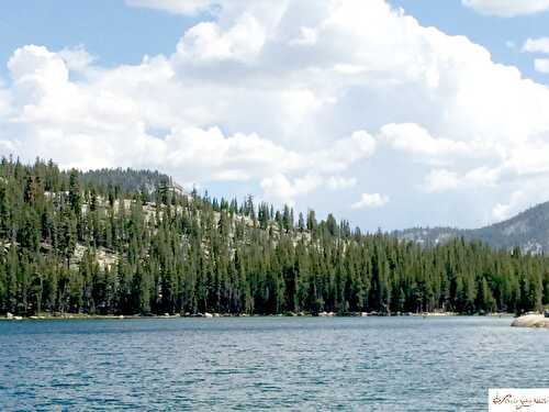 The Kitchen is Closed... - Peri's Spice Ladle