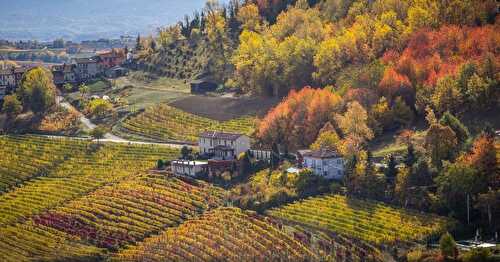 A Guide to Drinking and Eating in Italy's Piedmont Region