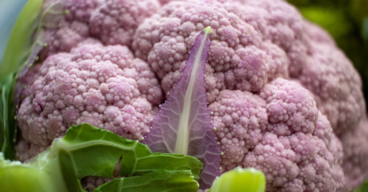 Vegetables in season in April: Seasonal Produce Guide