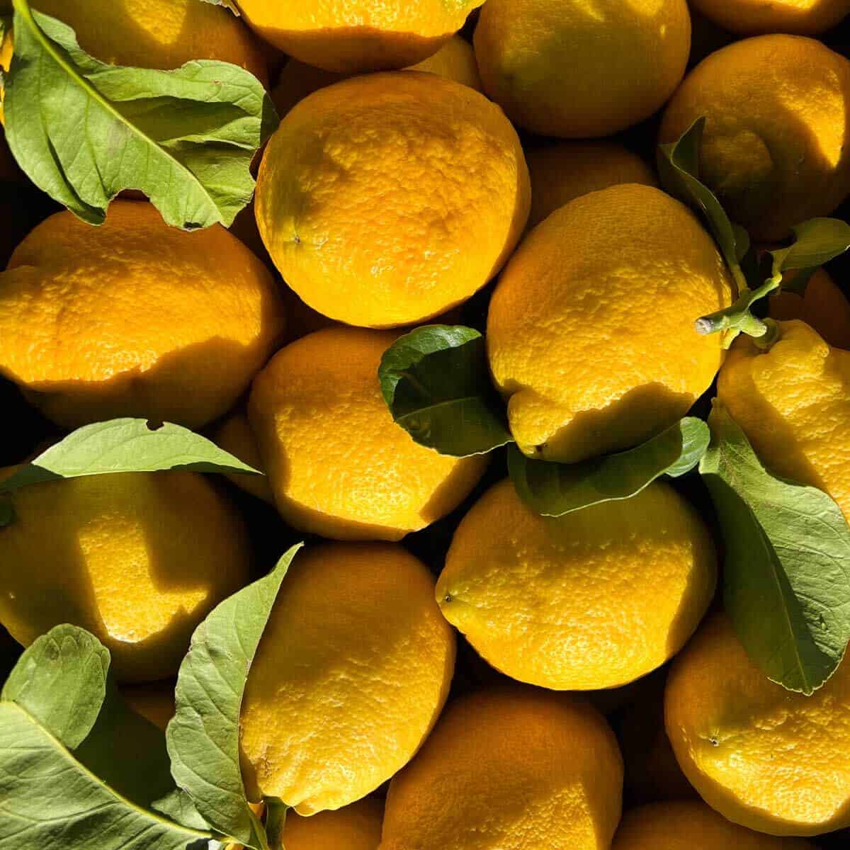 What fruit is in season in April: Seasonal Fruits Guide