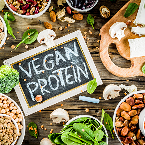 Plant Based Protein Chart (Free Download)