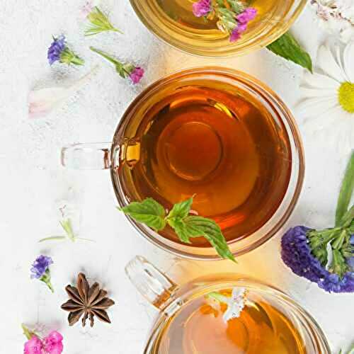 The Best Herbal Tea For Upset Stomach or Nausea