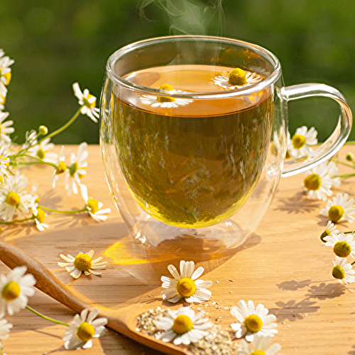 Is Chamomile Tea Good For Acid Reflux and Heartburn?
