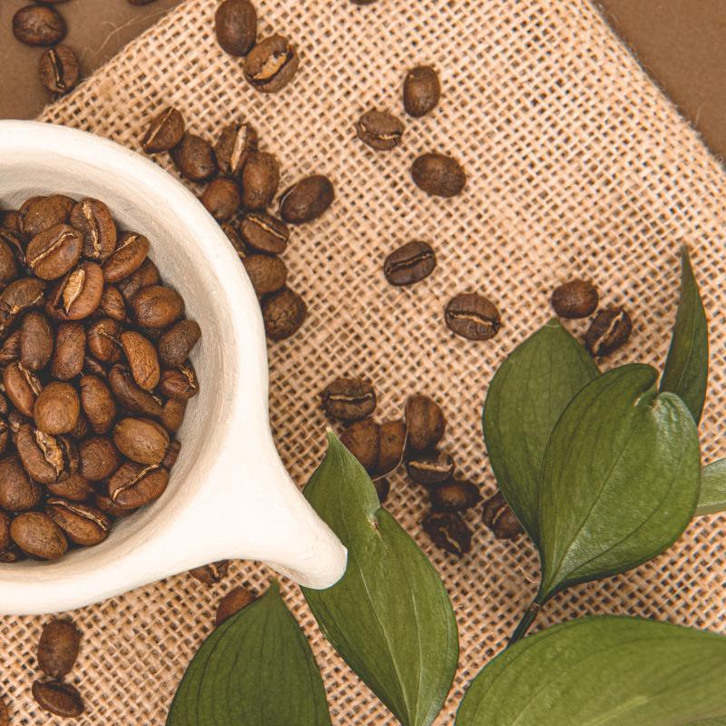 Best Coffee for Enemas (Organic, Tested & Approved)