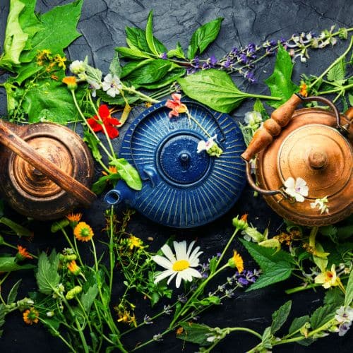 Herbal Tea For Allergies (Seasonal Allergy Relief)