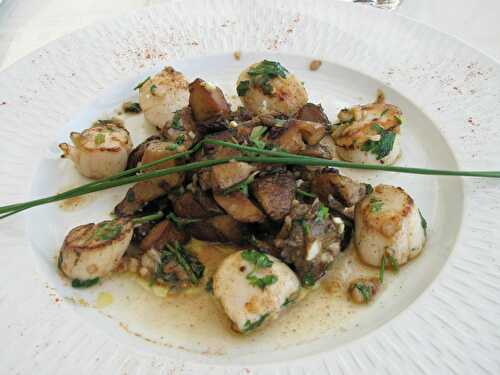 Fricassee of scallops with ceps
