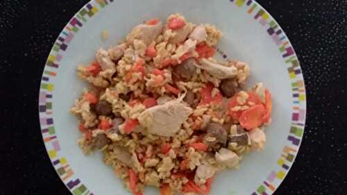 Fried turkey with carrots and wheat