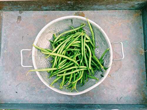Mashed of fresh green beans