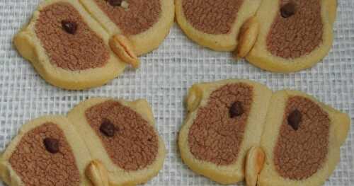 Hoot Owl Cookies/Halloween Hoot Owl Cookies