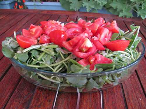 Colorful Purslane Salad With Vinegar And Garlic Dressing