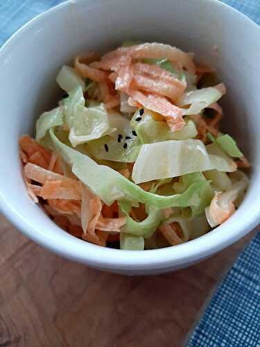 Quick And Easy Coleslaw Salad