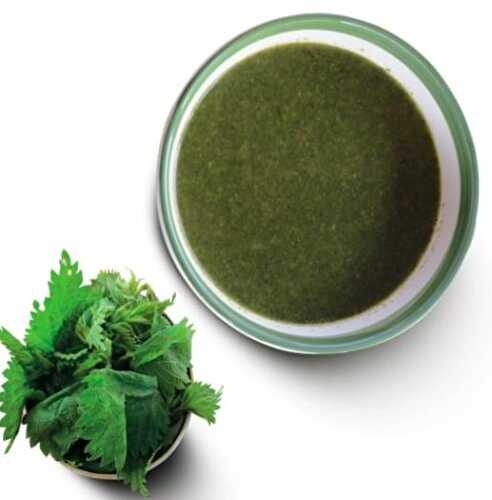 Stinging Nettle Soup: Right From Your Garden Or Forest