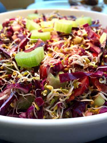Red Cabbage and broccoli salad