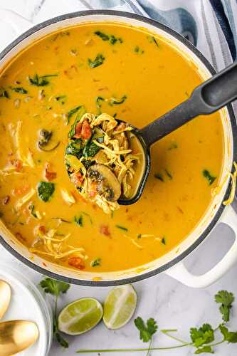 Curried Chicken Soup