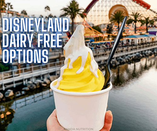 Disneyland's Dairy-Free Options | Randa Nutrition